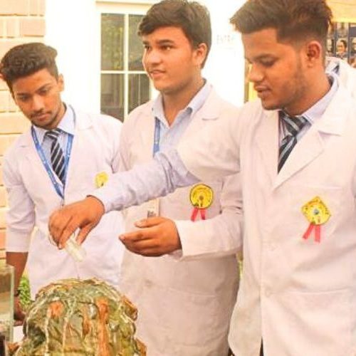 Untitled design (13)